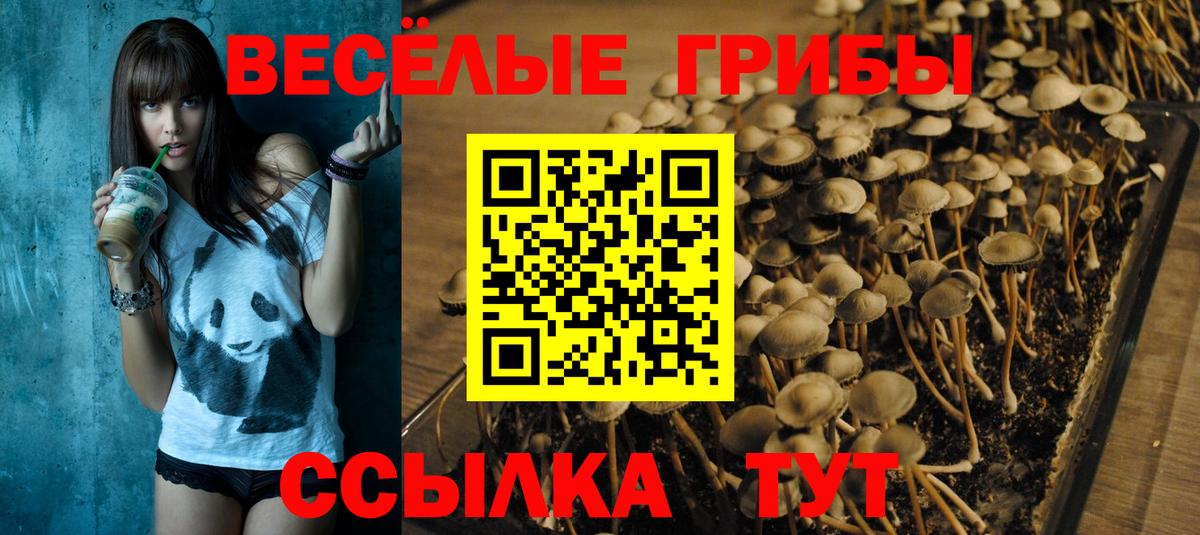 Галлюциногенные грибы мицелий Орск