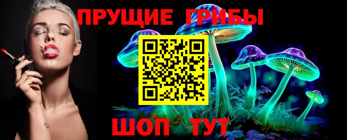 Псилоцибиновые грибы Cubensis  Галлюциногенные грибы Psilocybine cubensis  Орск  где купить   Вход с VPN 